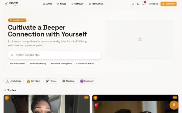 All Entries — VibeApp Life