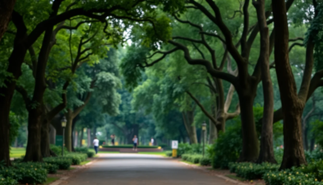 Bosque de Chapultepec | Kid | Fren.ly